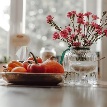 Dom Gościnny Tatra Nova Pensjonat